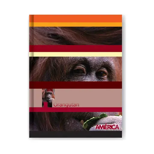 [AMERTC82CUAD] Cuaderno América tapa cartón, 16x21cm. 82 hojas cuadriculadas