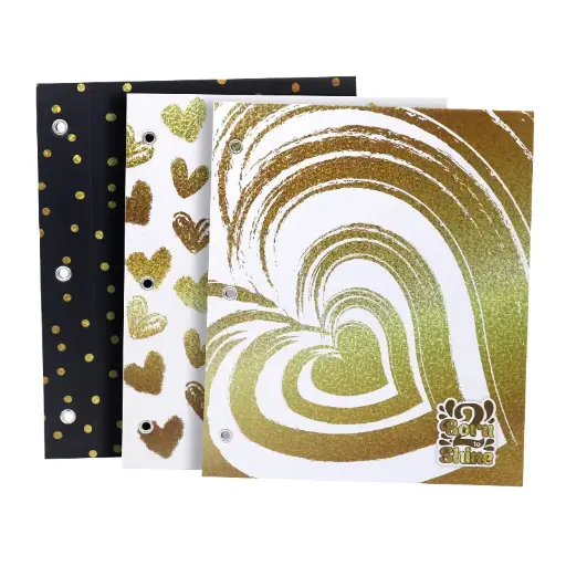 [CARPREXN3BOR2] Carpeta N°3 dos tapas Rexon Born to Shine 2